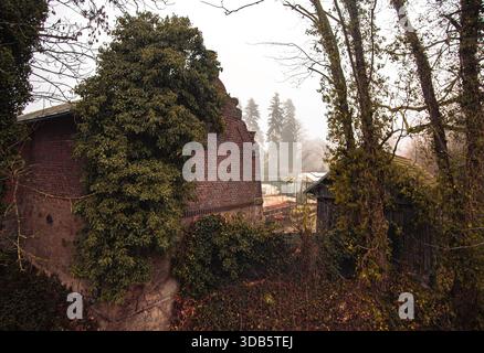 Ein altes Haus im Garten, mit Efeu bewachsen Stockfoto
