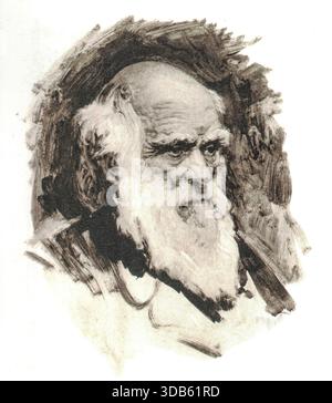 Charles Robert Darwin, 12. Februar 1809-9 1882, war ein englischer Naturforscher, Geologe und Biologe, der für seine Beiträge zur Evolutionsbiologie bekannt war. Seine Behauptung, dass alle Arten von Leben von einem gemeinsamen Vorfahren abstammen, wird heute allgemein akzeptiert und als grundlegendes wissenschaftliches Konzept betrachtet. In einer gemeinsamen Präsentation mit Alfred Russel Wallace stellte er seine wissenschaftliche Theorie vor, dass dieses verzweigte Muster der Evolution aus einem Prozess resultiert, den er natürliche Selektion nannte, bei dem der Kampf um die Existenz eine ähnliche Wirkung hat wie die künstliche Selektion Stockfoto