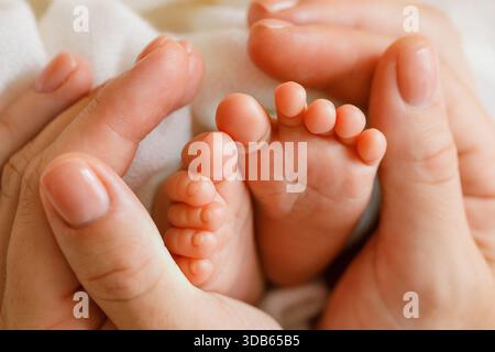 Hände für Erwachsene schröpfen die Füße des Neugeborenen sanft aus der Seitenansicht Stockfoto