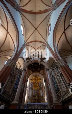 Bologna, Italien - 23. Juli 2025: Gotisches Kirchenschiff und kunstvoller Barockaltar der Basilika San Petronio in Bologna, nach oben hin zu Rippengewölben und Stockfoto
