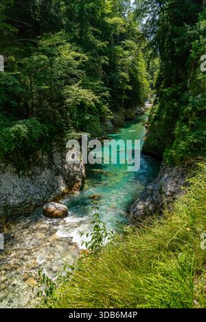 Ein ruhiger türkisfarbener Fluss schlängelt sich anmutig durch dichte grüne Wälder in den atemberaubenden Tolmin-Schluchten Sloweniens, was an Gelassenheit und Naturwunder erinnert Stockfoto