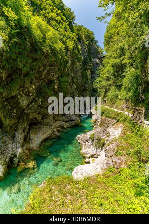 Eine ruhige Wanderung zeigt atemberaubendes türkisfarbenes Wasser, das sich durch antike Felswände schlängelt und an Gelassenheit und Abenteuer im unberührten Triglav Sloweniens erinnert Stockfoto