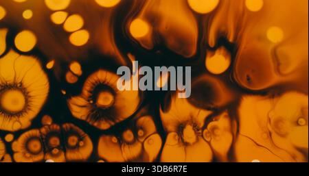 Farbe verteilen. Wasserfarbentropfen. Farbtropfende, nasse abstrakte Textur. Schwarze Spritzer Pigmentspritzer auf orangefarbenem, heißen Hintergrund. Stockfoto