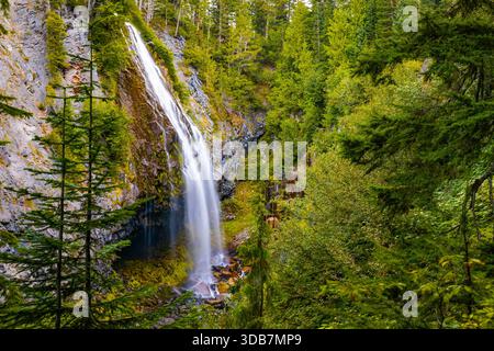 Ein malerischer Blick auf die wunderschönen Narada Falls, die durch einen lebhaften grünen Wald im Mount Rainier National Park kaskadieren Stockfoto