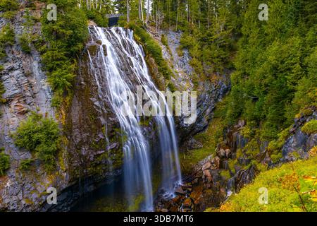 Ein malerischer Blick auf die wunderschönen Narada Falls, die durch einen lebhaften grünen Wald im Mount Rainier National Park kaskadieren Stockfoto