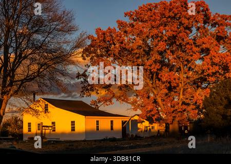 Amish-Haus im Sonnenuntergang unter einer großen Eiche, Mecosta County, Michigan, USA [keine Veröffentlichung; nur redaktionelle Lizenzierung] Stockfoto