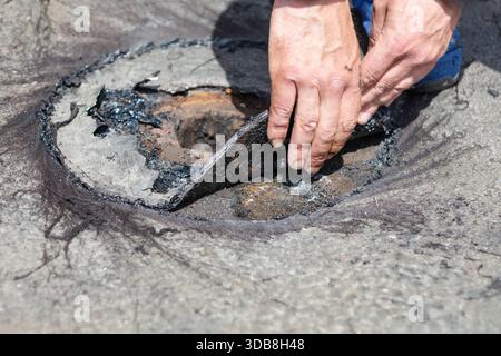 Der Arbeiter hebt bei der Reparatur des Flachdachdrainagesystems beschädigtes Dachmaterial auf und legt rostiges Metall und teerbeschichtete Schichten frei. Nahaufnahme markiert in Stockfoto