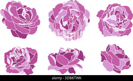 Rosa Pfingstrose Blume Vektor Set Stock Vektor