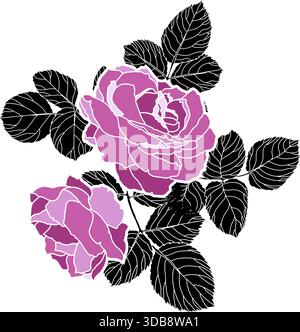Rosa Rosen Mit Silhouette Blätter Illustration Stock Vektor