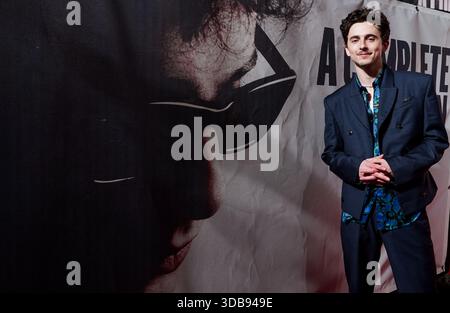 ÜBERPRÜFUNG DER PA FÜR DAS JAHR 2025. Dateifoto vom 14.01.25: Timothee Chalamet bei der britischen Premiere von Complete Unknown im BFI Southbank, London. Ausgabedatum: Montag, 15. Dezember 2025. Stockfoto