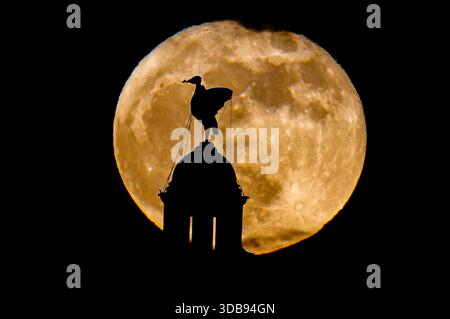 ÜBERPRÜFUNG DER PA FÜR DAS JAHR 2025. Dateifoto vom 25. 13. April: Der rosafarbene Mikromond erhebt sich hinter dem Liverbird, der auf dem Royal Liver Building in Liverpool, Merseyside, steht. Ausgabedatum: Montag, 15. Dezember 2025. Stockfoto