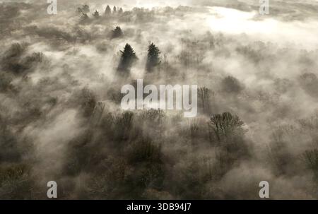 ÜBERPRÜFUNG DER PA FÜR DAS JAHR 2025. Dateifoto vom 25. Mai: Nebel bedeckt Hoad's Wood, während die Sonne in der Nähe von Ashford, Kent, aufgeht. Ausgabedatum: Montag, 15. Dezember 2025. Stockfoto