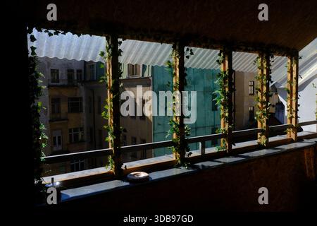Ein bezaubernder Blick, eingerahmt von Kletterpflanzen, enthüllt verwitterte Backsteinhäuser und das Stadtleben. Stockfoto