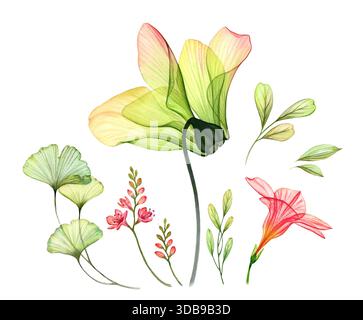 Aquarellset von transparenten gelben Azaleen Blüten Lilie und Ginkgo Blätter. Farbenfrohe tropische Kollektion auf weiß. Botanische Blüte Stockfoto