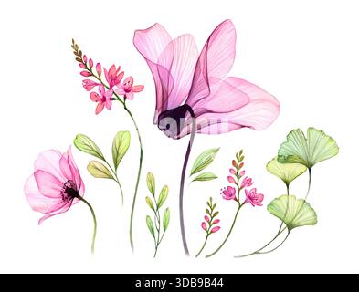 Aquarellset aus transparenten Azaleen-Blüten, rosa Rose, Ginkgo-Blättern. Farbenfrohe tropische Kollektion auf weiß. Botanische Blumenillustration Stockfoto