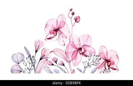 Tropischer Rand in Wasserfarben. Abstrakte transparente Orchideen, Eukalyptuszweige und Blätter in staubrosa und violett. Isolierte handgezeichnete Botanik Stockfoto