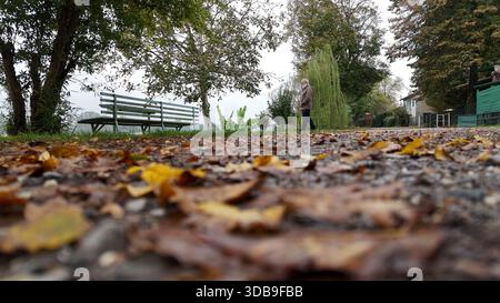 Salsomaggiore Terme, Italien 1. Dezember 2025 an einem nebeligen Herbsttag steht ein Mann an einer Parkbank und genießt ruhig den ruhigen Blick auf die Landschaft bl Stockfoto