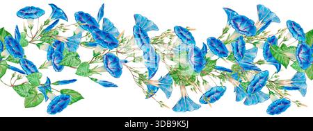 Nahtloses Blumenmuster mit blauen Blüten, grünen Blättern und Knospen. Horizontaler Rand von Morning Glory für festliches Design, Postkarten, Hochzeit Stockfoto