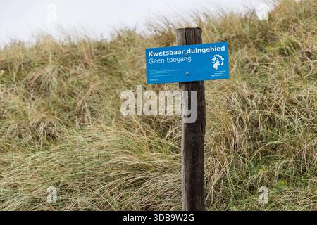 Ein blaues Schild in den Dünen mit der Aufschrift „Kwetsbaar duingebied geen toegang“ (gefährdeter Dünenbereich ohne Zugang) auf einem Holzpfosten, umgeben von trockenem Gras. Wijk Stockfoto
