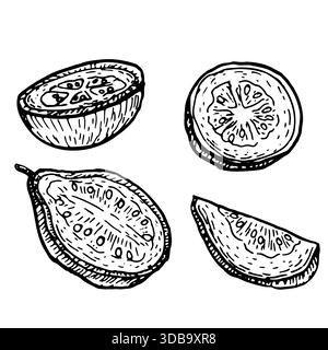Skizze von Guava-Vektor-Lebensmitteln. Geschnittene tropische Fruchtstücke, isoliertes Set für Sommerdesign. Gesunder rosa Bio-Guajava, Vintage-handgezeichneter Stil. Stock Vektor