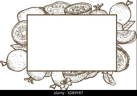 Guave-Früchte mit Blätterrahmen. Hintergrundvorlage für Guave Food mit leerem Platz. Skizze tropischer Früchte in linearer Gravur. Stock Vektor