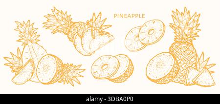 Gelbes Ananasvektorset. Skizzen mit Lebensmittelabbildungen. Tropische Früchte mit Blättern, isolierte Sommer-Naturkunst. Handgezeichneter Vintage-Stil, Organi Stock Vektor