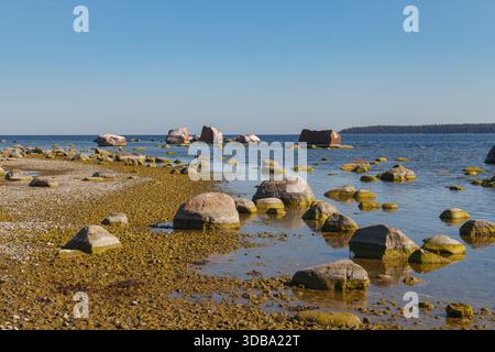 Felsige Küste mit verstreuten Steinen in flachem Küstenwasser bei Ebbe unter klarem Himmel. Stockfoto