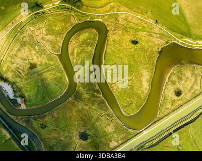 Aus der Vogelperspektive auf den Serpentinfluss, der sich durch leuchtende grüne Wiesen schlängelt, ein Lebensband, das sich durch den grünen Wandteppich der Landschaft, Eastbour, schneidet Stockfoto