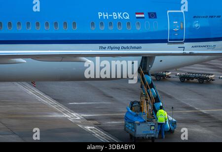Amsterdam, Niederlande, 13.12.2025, Flughafen-Bodenabfertiger, der Gepäck auf den Gepäckfördergürtel am Flughafen Schiphol lädt Stockfoto
