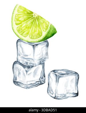 Frische Zitruskalk und Eiswürfel, handgemalte Aquarellillustration isoliert auf weißem Hintergrund Stockfoto