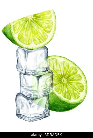 Frische ZitrusLimette und Eiswürfel. Handgemalte Aquarellabbildung isoliert auf weißem Hintergrund Stockfoto
