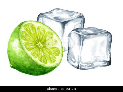 Frische ZitrusLimette und Eiswürfel. Handgemalte Aquarellillustration, isoliert auf weißem Hintergrund Stockfoto