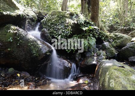 Kleiner Wasserfall, der über moosige Felsen in einem üppigen tropischen Wald stürzt, ruhige Naturlandschaft mit fließendem Wasser und grünem Laub. Stockfoto