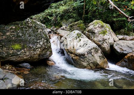 Kleiner Wasserfall, der über moosige Felsbrocken in einem üppigen tropischen Waldbach stürzt Stockfoto