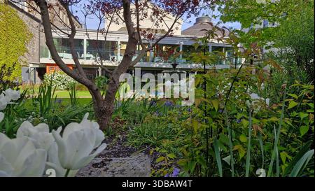 Ein wunderschönes, modernes Restaurant in Dublin, Irland Stadtzentrum, umgeben von üppigem Grün und Blumen an einem schönen sonnigen Tag mit blauem Himmel. Stockfoto