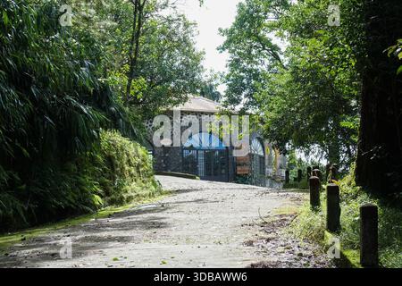 Steingebäude mit Bogenfenstern und Türen, umgeben von üppig grünem Laub und Bäumen. Stockfoto