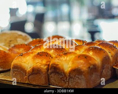 Frisch gebackene Brötchen mit goldener Kruste auf Backblech, in der Bäckerei mit weichem Hintergrund Stockfoto