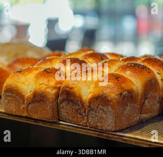 Frisch gebackene Brötchen mit goldener Kruste auf Backblech, in der Bäckerei mit weichem Hintergrund Stockfoto