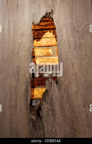 Nahaufnahme eines Risses in einer verwitterten Holzwand, der einen Blick auf gestapelte Holzdielen dahinter freigibt. Die raue Textur der Wand steht im Kontrast zu Stockfoto