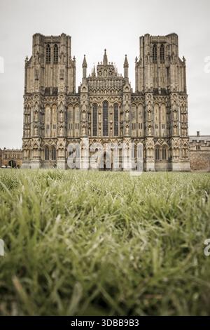 Blick auf die große Wells Cathedral, eine imposante gotische Struktur aus hoch aufragenden Türmen und komplizierten Mauerwerken, erhebt sich majestätisch über einem grünen Rasen, We Stockfoto