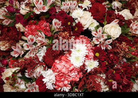 Ein lebhaftes Blumenarrangement mit einer Mischung aus tiefroten Rosen (Rosa), cremeweißen Rosen, weißen Gänseblümchen (Bellis perennis) und roten Chrysanthemen Stockfoto