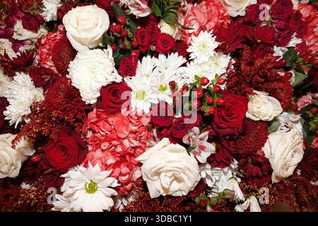 Ein lebhaftes Blumenarrangement mit einer Mischung aus tiefroten Rosen (Rosa), cremeweißen Rosen, weißen Gänseblümchen (Bellis perennis) und roten Chrysanthemen Stockfoto