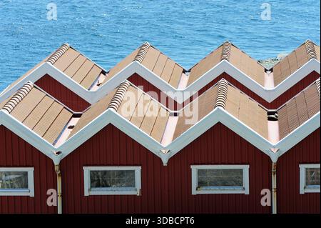 Symmetrische kleine Gebäude in Fotö im Göterborg-Archipel, Schweden Stockfoto