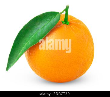 Reife Mandarine oder Mandarine mit isoliertem grünen Blatt. Saftige Clementinfrucht mit Blättern. Stockfoto