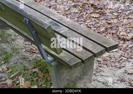 Verwitterte Holzbank in einem öffentlichen Park mit trockenem Herbstlaub auf dem Boden Stockfoto