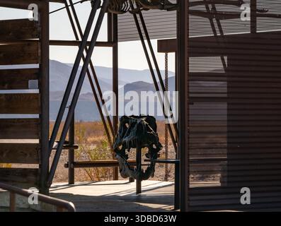 Dinosaurier Skull Fossil Sitzt Auf Exibit In Big Bend Stockfoto