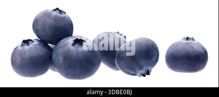 Gruppe von frischen Heidelbeeren isoliert auf weißem Hintergrund Stockfoto