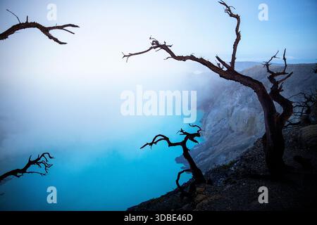 Wunderschöner einsamer Baum am Rand des ijen Vulkans mit blauem See im Vulkankrater bei Sonnenaufgang, Java-Insel, indonesien Stockfoto