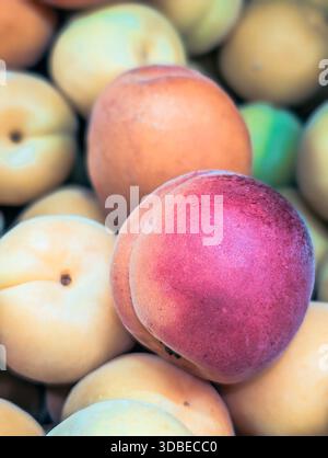 Helle und saftige rote Pfirsiche Stockfoto