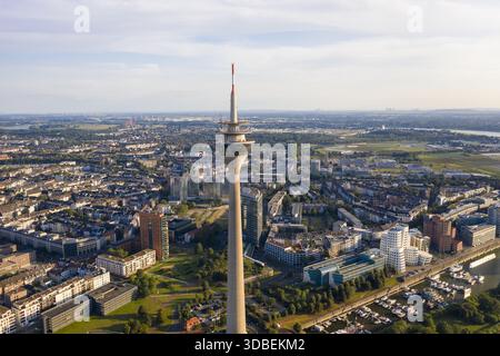 Blick aus der Vogelperspektive auf den berühmten Rheinturm, der die Skyline durchzieht, inmitten eines Wandteppichs aus Gebäuden und Grünflächen, eine Mischung aus städtischer und natürlicher Schönheit, D Stockfoto